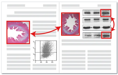 图片重复检测技术展示-论文图片查重相似度分析