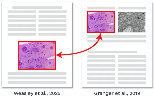 图片剽窃检测功能-学术图片抄袭识别系统