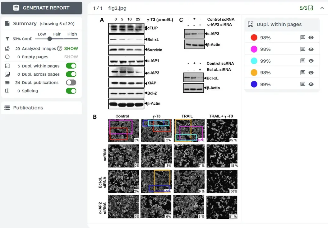 ImageTwin查重报告示例-详细图片检测分析报告